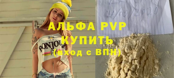 сатива Аркадак