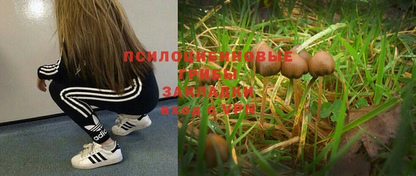 не бодяженный Армянск