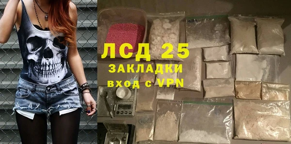 сатива Аркадак