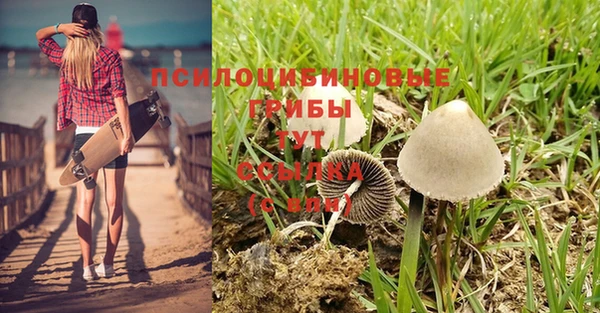 МДПВ Покровск