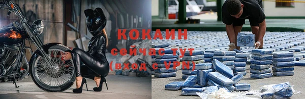 сатива Аркадак