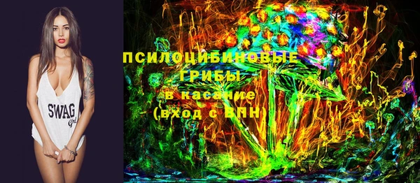 spice Покачи