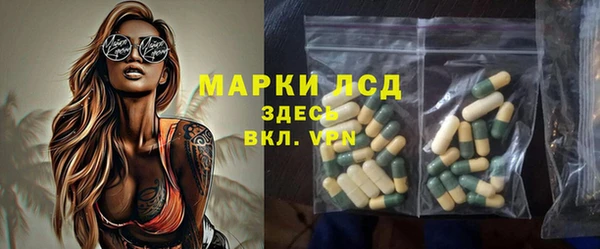 сатива Аркадак