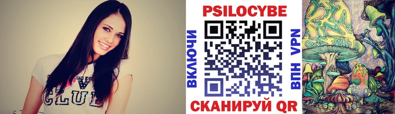 Псилоцибиновые грибы Psilocybine cubensis  Судак 