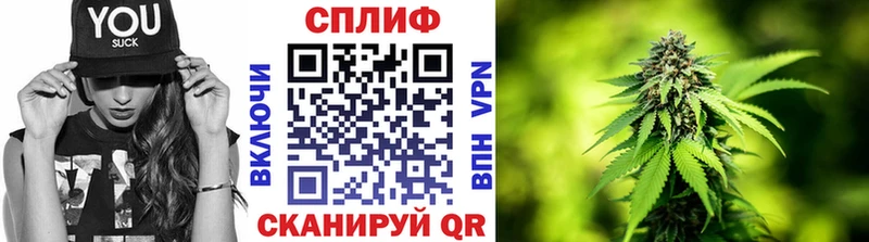 сколько стоит  Судак  Бошки марихуана план 